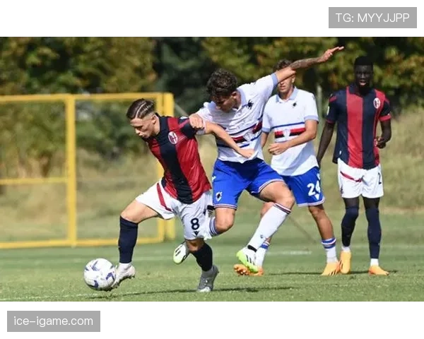 维罗纳逆转取胜，团队韧性铸就精彩胜利